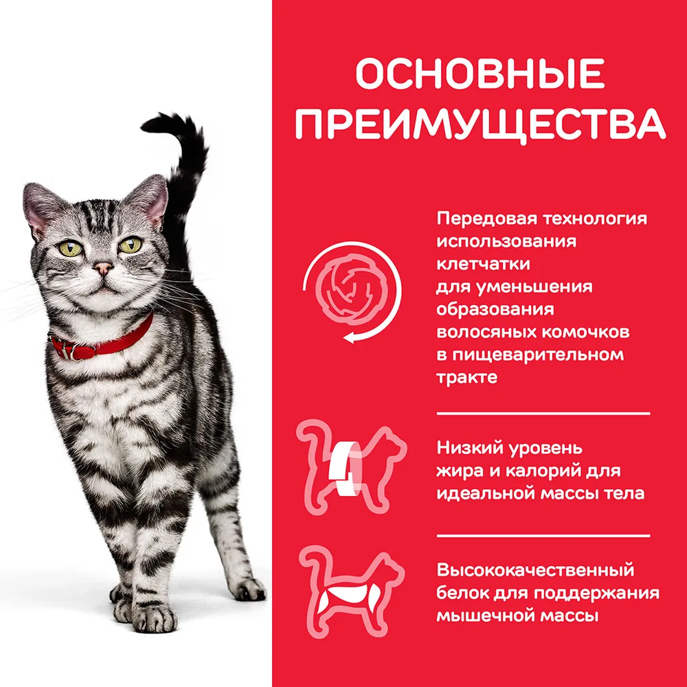 Hill's Science Plan Indoor Cat сухой корм для домашних кошек с курицей 4 кг