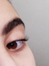 Iconsign-Kit elevador de pestañas, conjunto permanente de pestañas, puede hacer su Logo, Calia Beauty, envío rápido