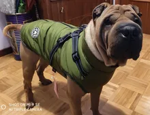Chaleco con arnés para mascota ropa de cachorro chaqueta para perro impermeable ropa cálida para mascotas de invierno para perros pequeños Shih Tzu Chihuahua Pug abrigo