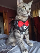 Elegante pajarita arnés tipo chaleco para perro con correa ajustable, Gato conjunto de Correa y arnés lindo arco nudo esmoquin para gatos gatito cachorro