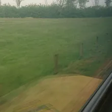 d***a