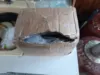 Изображение товара 3