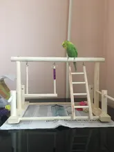 Parrot Standing Training Frame Bird Playground with Food Tray Pet Supplies PXPC