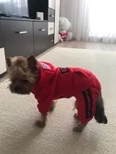 Jumpsuit Clothing Hoodies Jacket Pet-Dog-Coats Small Dogs Sport Apparel Winter Fashion