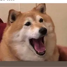 M***c