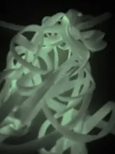 1 par luminoso los cordones de Los zapatos planos zapatillas de deporte zapatos de lona cordones resplandor en el Color oscuro de la noche fluorescente cordón 80/100/120/140cm