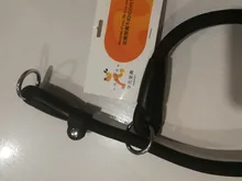 Collar para mascotas Hoopet, tamaño ajustable, Collar para perro grande, arnés de adiestramiento al aire libre, correa de suministro conveniente para perros y gatos