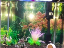 Grass-Decoration Aquarium-Decor Plant Fish-Tank Artificial-Plants Simulation Water-Weeds-Ornament