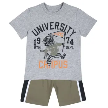 

T-shirt and shorts set Chicco size 098 color gray-green