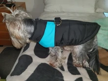 Coat Jacket Pet-Padded-Vest Dogs Zipper Pug Warm Small Para Waterproof Chihuahua Winter