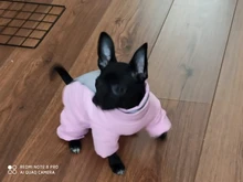 Winter Overalls for Dogs Warm Waterproof Pet Jumpsuit Trousers Male/ Female Dog Reflective