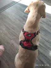 Vest Harness Pet-Dog No-Pull SUPREPET Nylon Adjustable for Large Medium