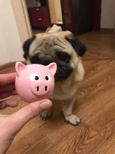 Latex Toy Frog Monkey Squeak Puppy-Bite Pig-Toy Pet-Dogs Chew Animal Cute Head-Shaped