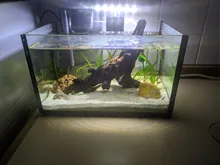 Lighting Aquarium-Lamp Fish-Tank-Light LED High-Brightness Super-Slim Ultra-Thin