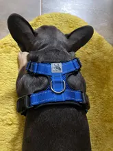 Arnés reflectante para perros pequeños y medianos, chaleco transpirable sin tirones para cachorros, entrenamiento para caminar, Bulldog francés
