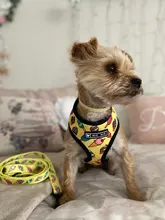 Arnés de Mascota para Bulldog Francés, correas pequeñas y medianas para perros, chaleco de cachorro francés, correa de plomo para perro que camina, productos para mascotas