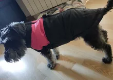 Chaleco impermeable para perros grandes y pequeños, abrigo cálido de invierno para cachorros, ropa para mascotas, 4XL, 5XL, nuevo