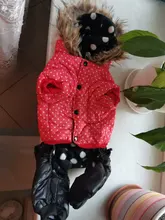 Coat Dogs-Clothing Dot-Pattern Winter Hooded Pet-Dogs New Xl To High-Quality