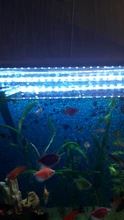 Luz LED RGB para acuario con enchufe europeo, barra de luz sumergible subacuática de colores, resistente al agua, lámpara acuática de 5050 SMD con mando a distancia