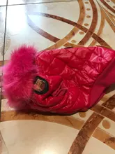 New Arrival Noble Pet Dogs Winter Vest Coat Fur Collar Russia Classic Dogs Clothing Soft