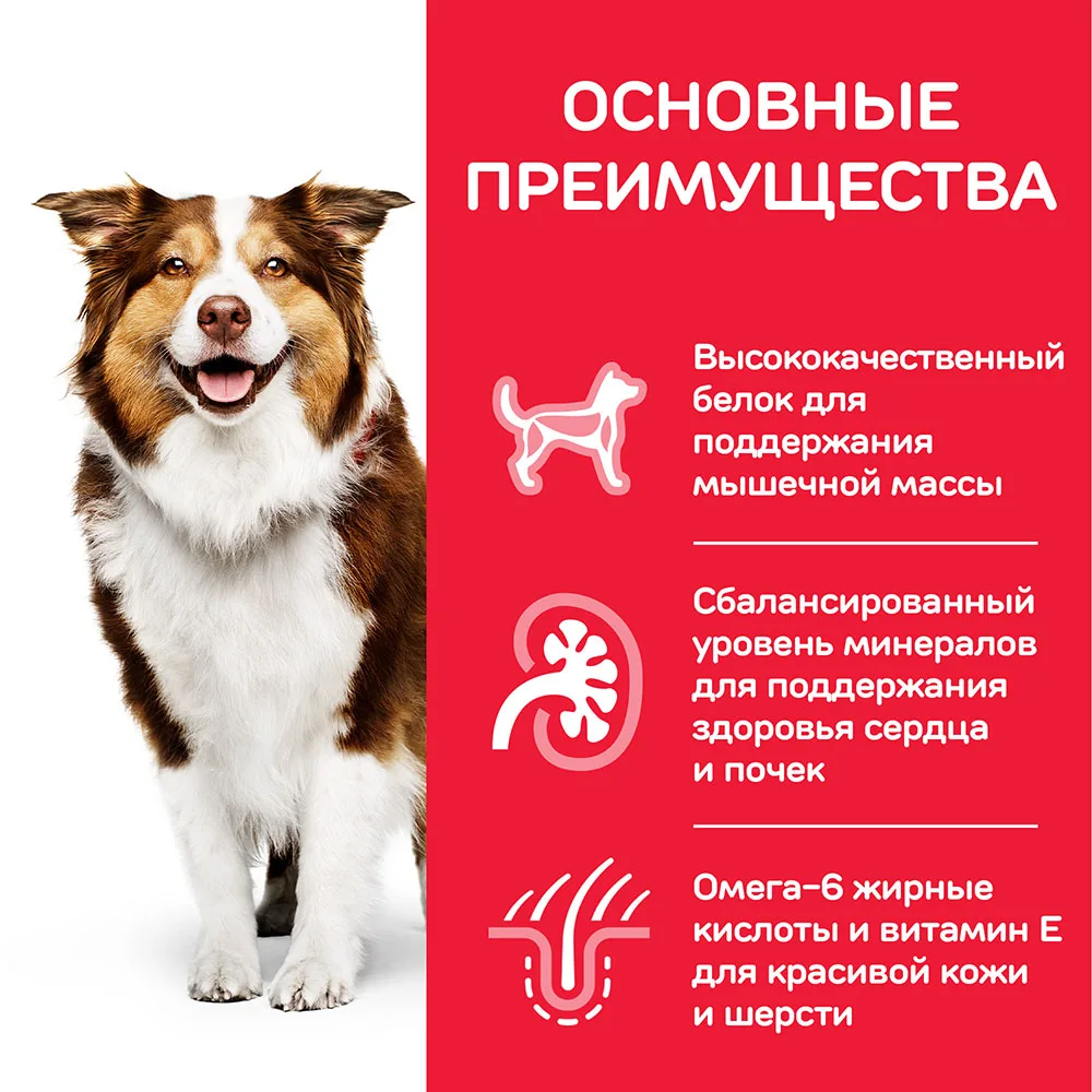 Hill's Science Plan Active Longevity влажный корм для собак старше 7 лет с курицей 12 шт. X 370 г