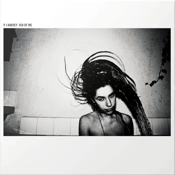 

PJ Harvey/rid of me (LP)