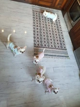 Transpirable gato Chaleco de verano para perro tiras de ropa para mascotas ropa sin mangas sudaderas con capucha camiseta para perros pequeños Chihuahua perro Yorkie camiseta Tank Top L