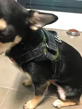 Arnés ajustable suave para perro, chaleco para caminar para perro grande, correa de pecho, accesorios para mascotas