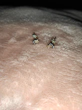 Pendientes de plata de Plata de Ley 925 auténtica asimétrica pendientes con argolla de corazón para las mujeres pendiente plateado a la moda de regalo de la joyería