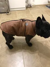 Jacket Vest Puppy-Clothing Pug-Coat Small Dogs Chihuahua Waterproof Winter Teddy Pet-Dog