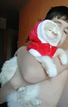 Cat Accessories Puppy-Outfit Santa-Costume Christmas Dogs Kitten Small Warm Hoodie Pet-Dog