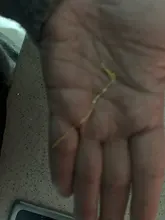 Simple dorado plateado pendientes de cadena para las mujeres 925 plata esterlina largo de cadena de encanto de pendientes de enhebrar joyería de moda 2020