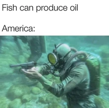 Zapatos de baile Latino para mujer, calzado de baile Latino con diamantes de imitación en rojo, negro, azul y marrón