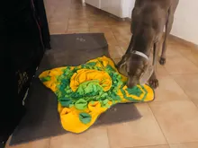 Colchoneta de Snuffle para perros, juguetes de puzle que aumentan el IQ, alimentador de dispensar lento, adiestramiento de cachorros Gato esterilla, juegos de alimentación, juguete de inteligencia alimentaria