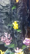 Coral-Decoration Lanscaping-Ornaments Fish-Tank Artificial-Coral Reef Rock Resin 