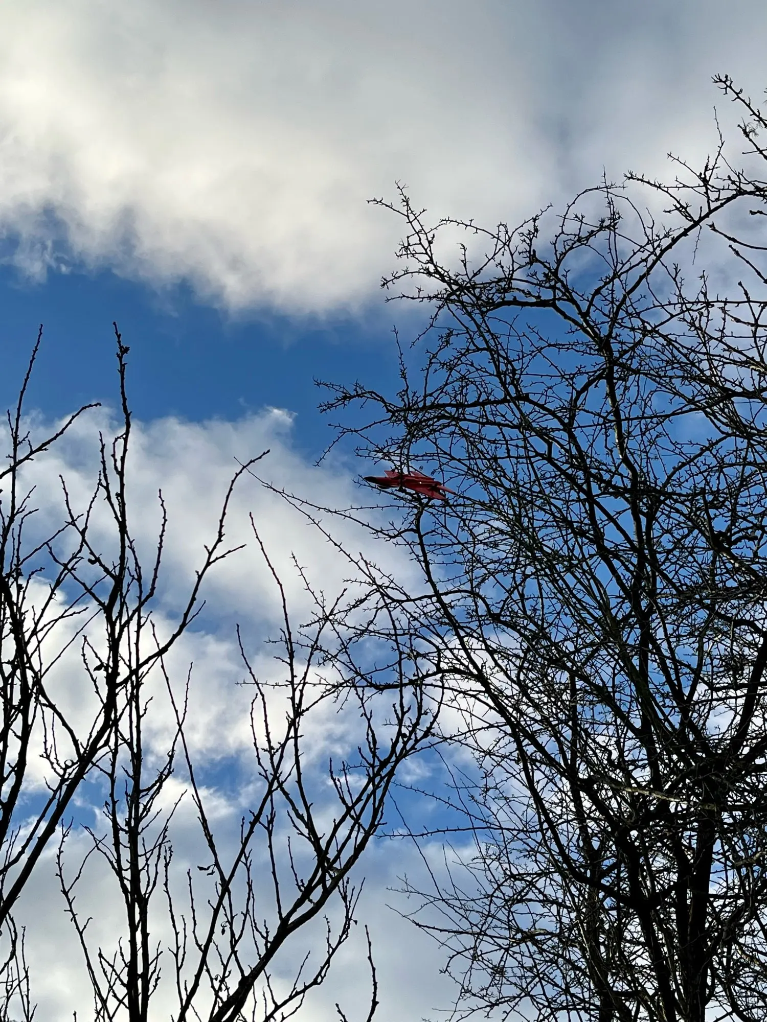 Attachment image review on RC Foam Aircraft SU-35 Plane 2.4G Radio Control