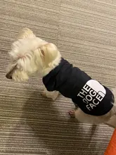 Chaleco para perros, ropa de verano, ropa para cachorros, disfraz de bulldog Francés schnauzer, Camiseta de algodón