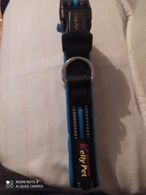 Breathable Mesh Nylon Dog Collar Reflective Pet Collars For Dogs Small Medium Large Dog