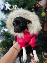 Jacket Bulldog-Clothing Pet-Coat Puppy Dogs Pug Chihuahua French Waterproof Winter Small