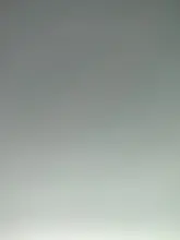 TSLM2-champú en polvo para hombres y mujeres, tratamiento para el cabello, para la perecidad del cabello, polvo de secado rápido, pelo graso, desechable