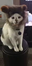 Disfraz de perro o gato Peluca de melena de León, gorro para gato, perro, ropa de Halloween y Navidad, vestido de lujo con orejas, ropa para mascotas