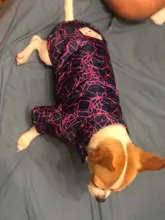 Coat Puppy Clothing Jacket Puppy-French-Bulldog Dogs Waterproof Chihuahua Winter Vest