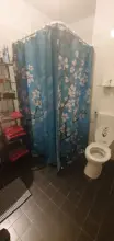 Shower Curtains Lavender Waterproof Hooks Frabic Lotus Rose Blossom 3D Polyester 