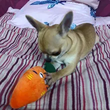 Puppy Chew Sound-Toys Ice-Cream Carrot Interactive Small-Dogs Pawstrip Squeaky-Bone 1pc