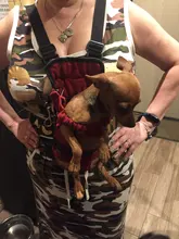 HOOPET Pet Dog Cat Carrier Bag Backpack Carring Bag Products for Dogs Anilmal Transport