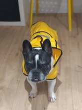 Jumpsuit Hoodies Pet-Coat Rain-Jacket Reflective French-Bulldog-S-2xl Waterproof Medium