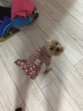 Dog-Dress Dogs-Skirt Yorkshire Summer Chihuahau Dot 