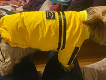 French Bulldog Small Dogs Pugs Winter For Chihuahua Outfit Pink Warm Clothing Roupa Pet-38s2