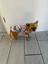 Ropa estampada de verano para mascotas, camisa de playa Floral, chaquetas, abrigo para cachorro de perro, disfraz de gato, ropa de primavera, trajes para mascotas