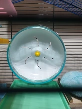 Wheel-Toys Hamster Jogging-Wheel Sports Silent Running-Disc-Toy Pet 2-Colors 3-Size Rotatory